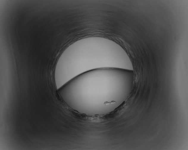 X0000099570524200805160728