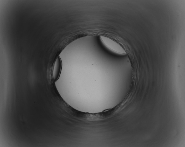 X0000099570525200805160728