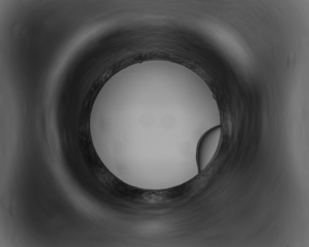 X0000099570526200805160728