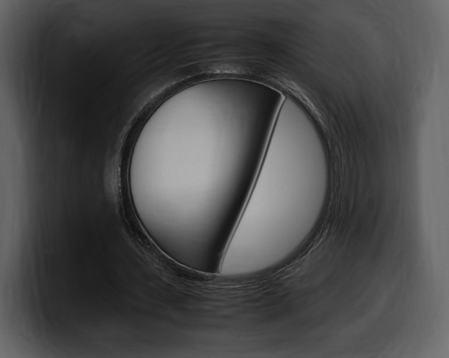 X0000099570531200805160727
