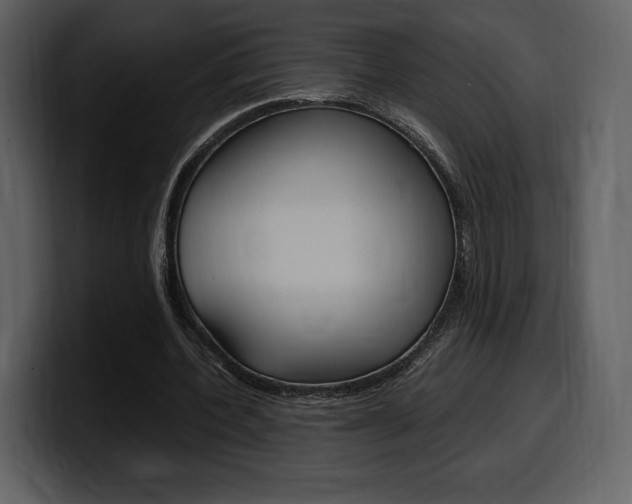 X0000099570532200805160727