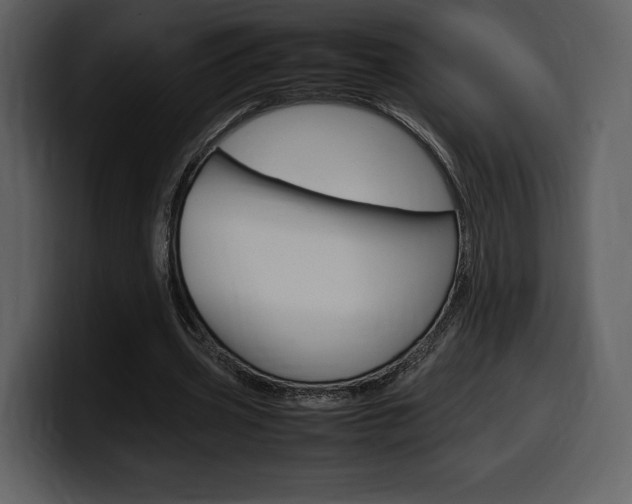 X0000099570533200805160727