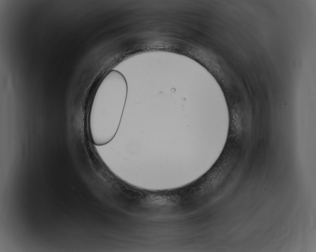 X0000099570534200805160728