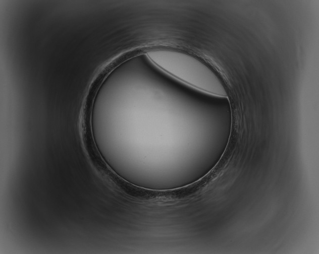 X0000099570536200805160728