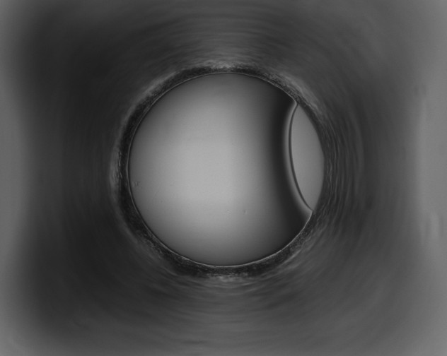 X0000099570540200805160728