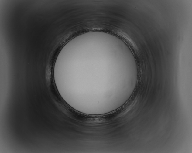 X0000099570541200805160728