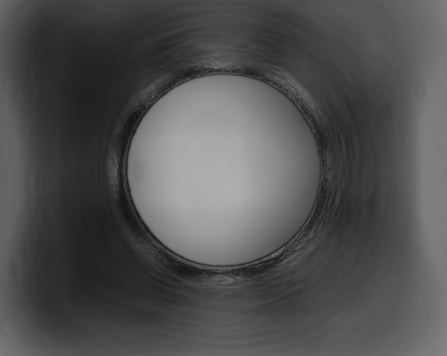 X0000099570542200805160728