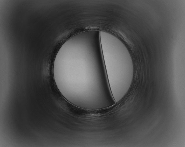 X0000099570543200805160728