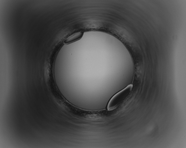 X0000099570544200805160728