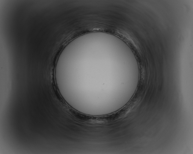 X0000099570545200805160728