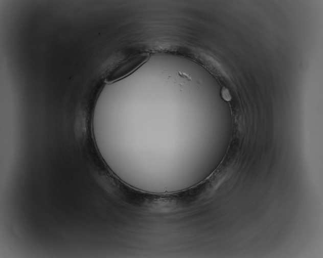 X0000099570546200805160728