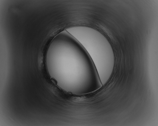 X0000099570548200805160728