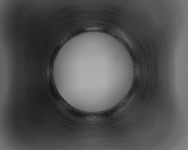 X0000099570549200805160728