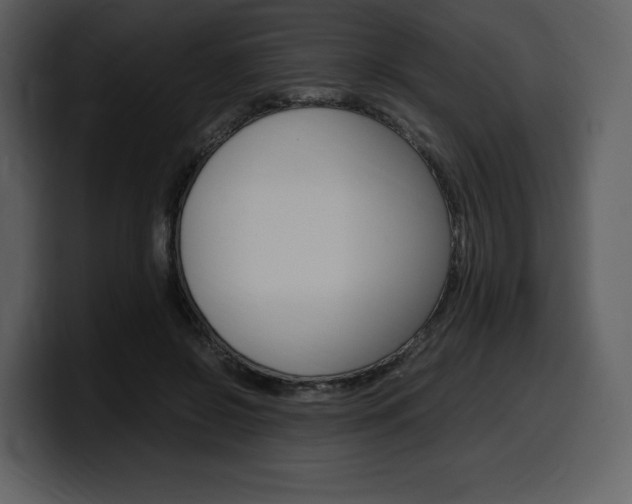X0000099570550200805160728