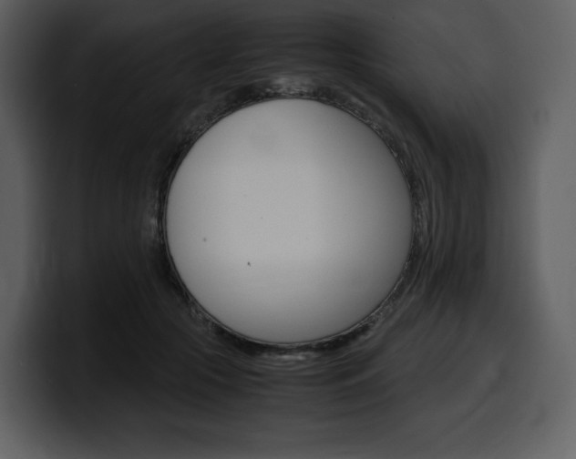 X0000099570553200805160728
