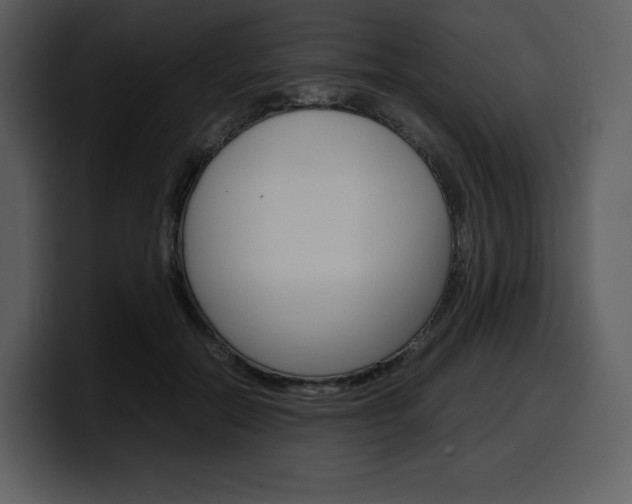 X0000099570554200805160728