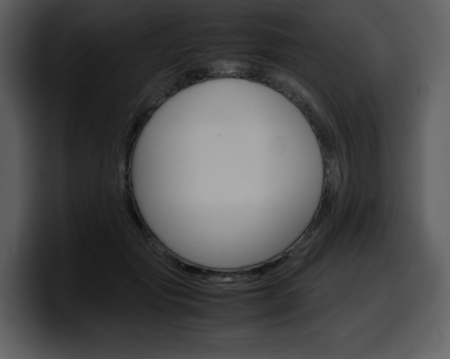 X0000099570557200805160728