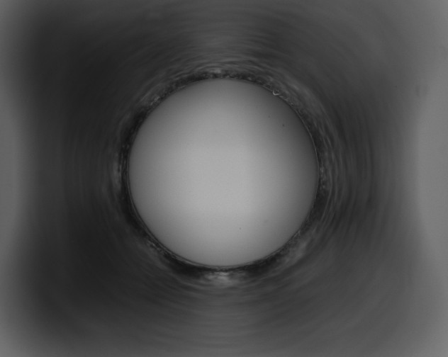 X0000099570558200805160728