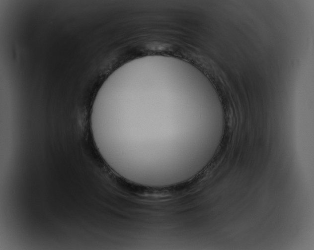 X0000099570559200805160728