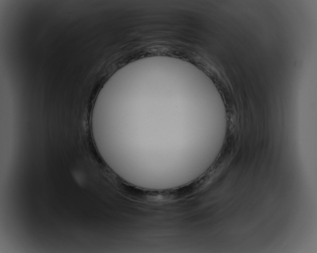 X0000099570561200805160728