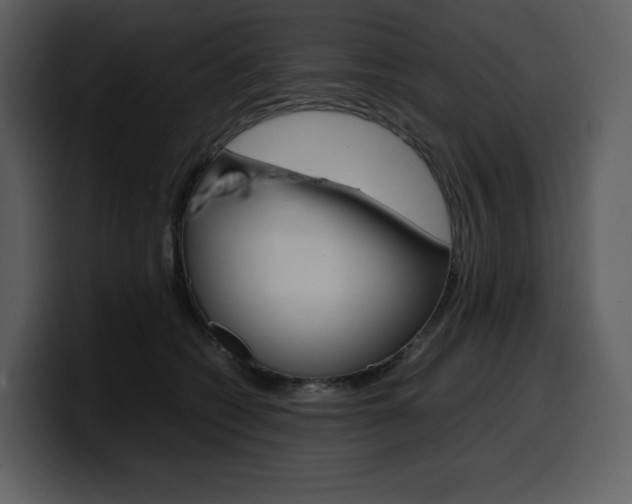 X0000099570562200805160728
