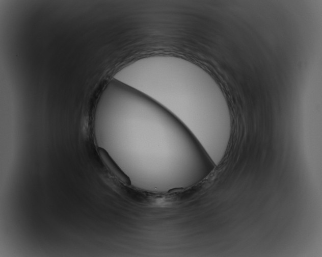 X0000099570564200805160728