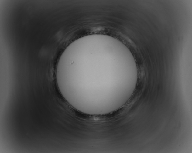 X0000099570565200805160728