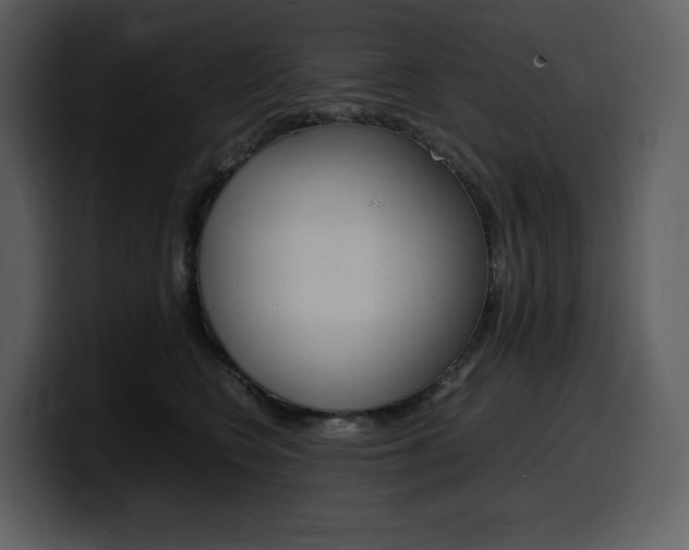 X0000099570566200805160728