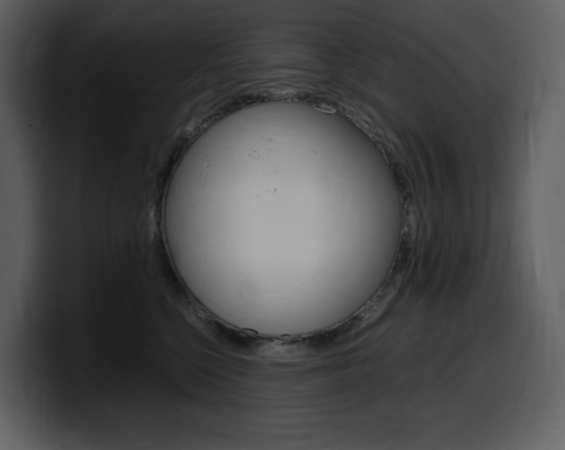 X0000099570568200805160728