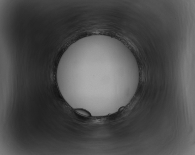 X0000099570569200805160728