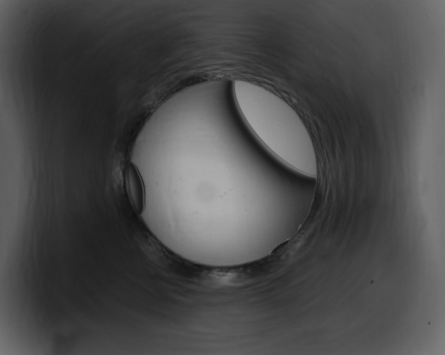 X0000099570570200805160728