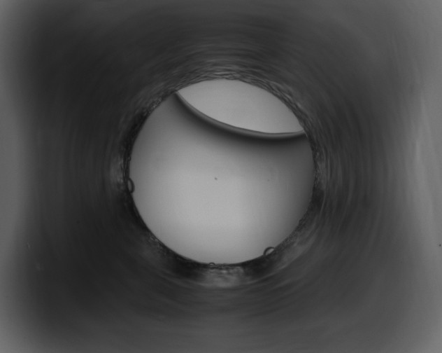 X0000099570571200805160728
