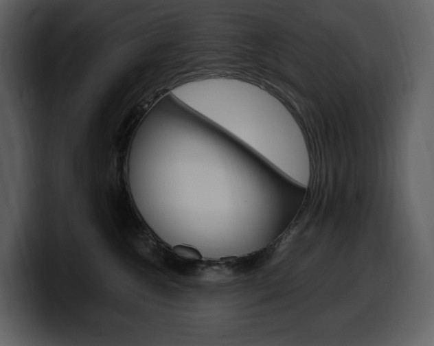 X0000099570572200805160728