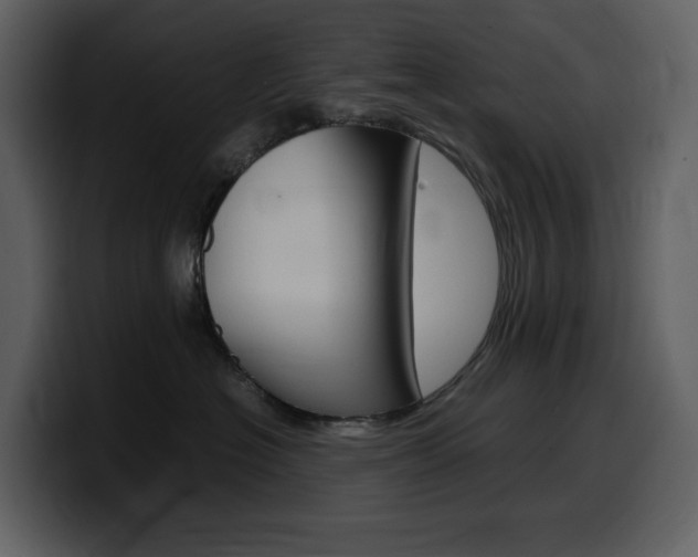 X0000099570574200805160728