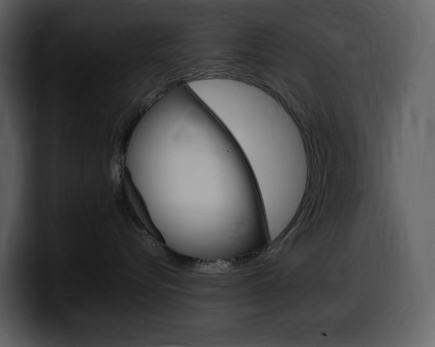 X0000099570576200805160728
