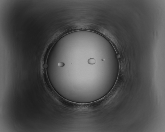 X0000099570581200805160727