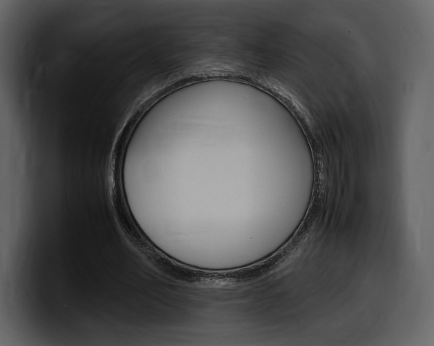 X0000099570582200805160727