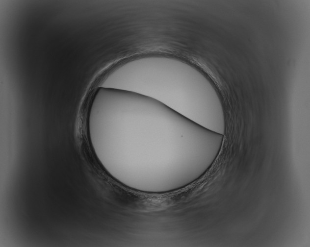 X0000099570583200805160727