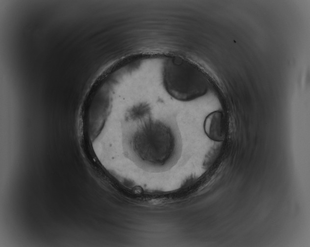 X0000099570584200805160727