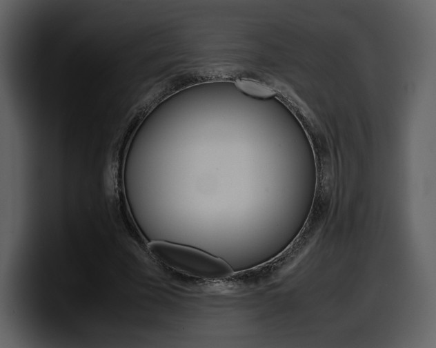 X0000099570585200805160727