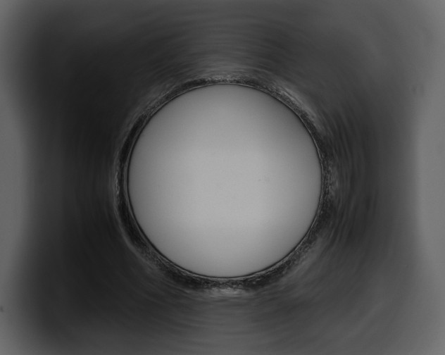 X0000099570586200805160727