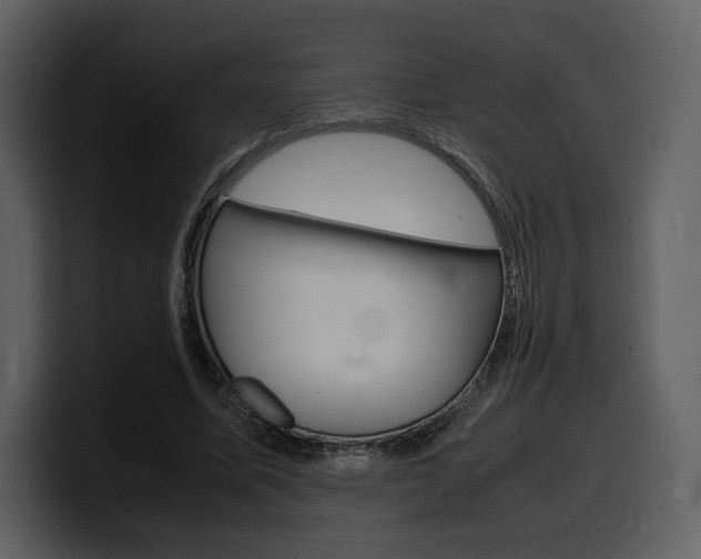 X0000099570587200805160727