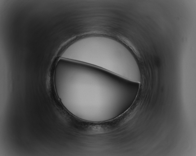 X0000099570588200805160727