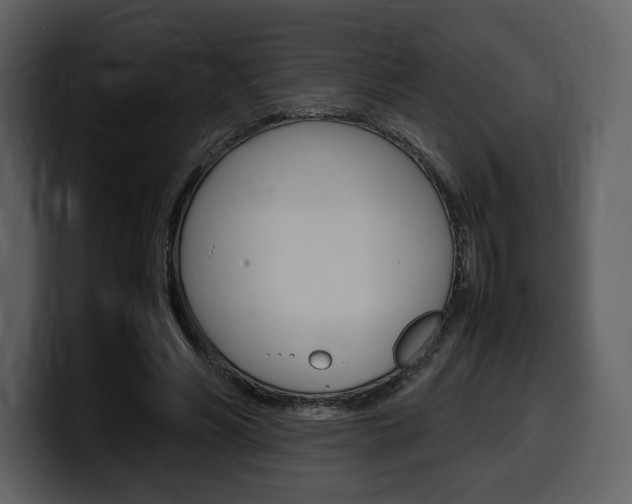 X0000099570590200805160727