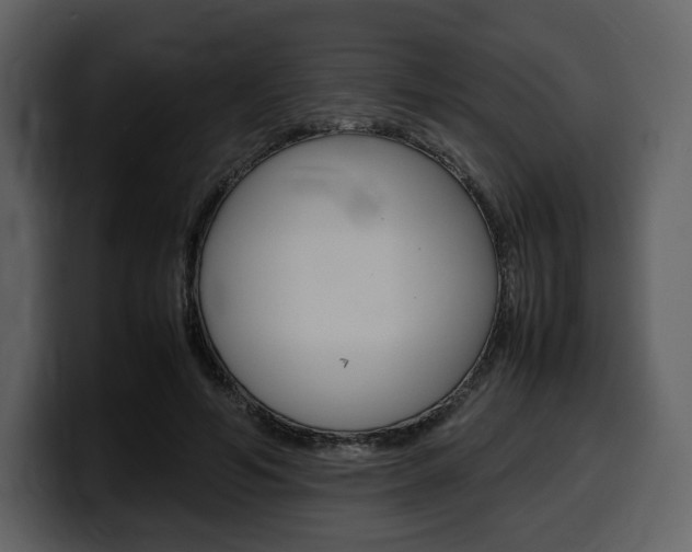 X0000099570594200805160727