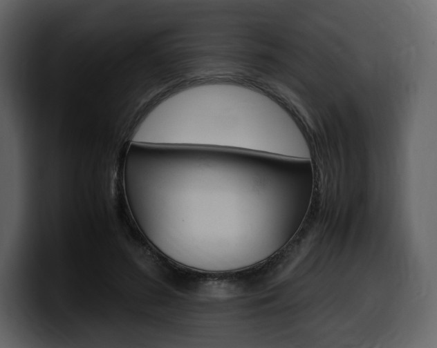 X0000099570596200805160727