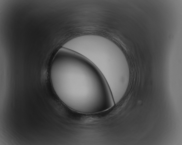 X0000099570597200805160727