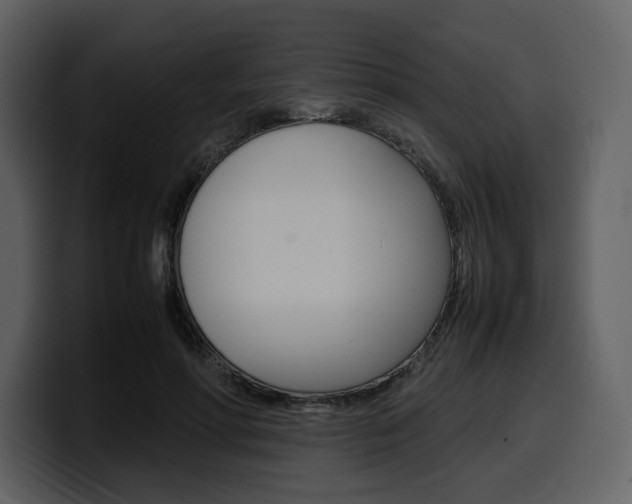 X0000099570598200805160727