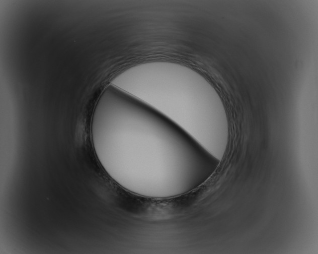 X0000099570599200805160727