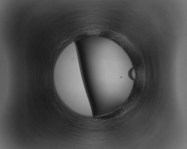 X0000099570600200805160727